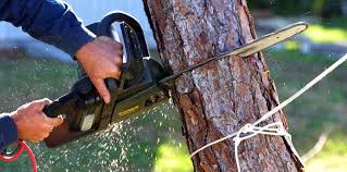 Best Lawn Pest Prevention  in Fultonde, AL