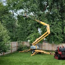 Best Tree Preservation Services  in Fultonde, AL