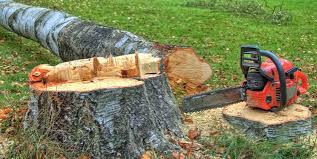 Best Stump Grinding and Removal  in Fultonde, AL