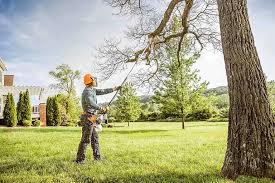 Best Tree Fertilization  in Fultonde, AL