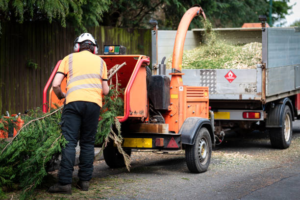 Best Tree Trimming and Pruning  in Fultonde, AL