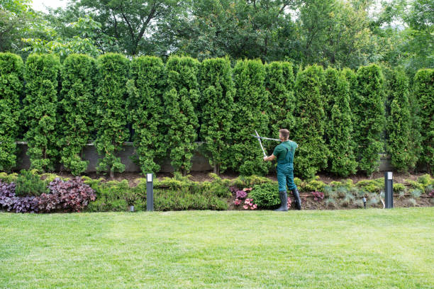 Best Lawn Grading and Leveling  in Fultonde, AL