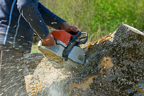 Best Weed Control  in Fultonde, AL